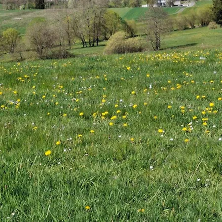 Am Rad- Und Wanderweg Farmház Nerdlen