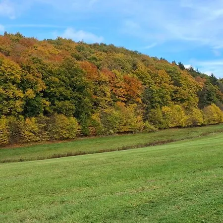 Am Rad- Und Wanderweg